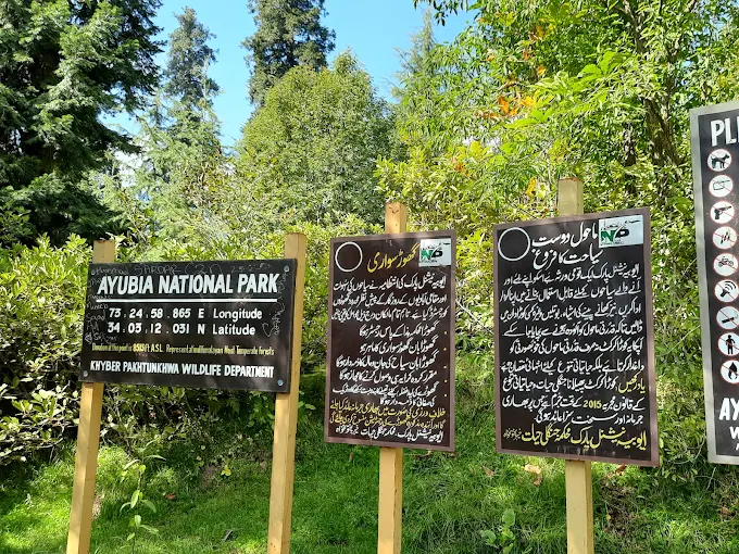 Pipeline walking track passing through forest in Ayubia National Park