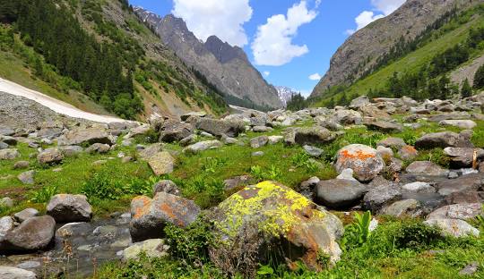 Current photograph of Matiltan’s valley road with forest and mountain backdrop