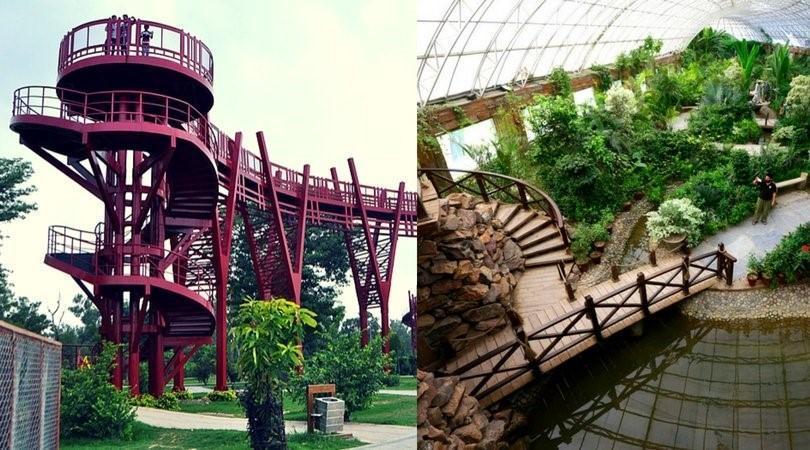 Botanical garden section inside Jallo Park Lahore